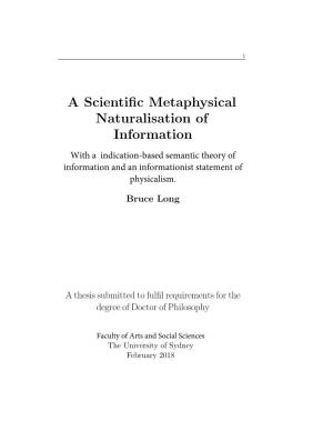 A Scientific Metaphysical Naturalisation of Information