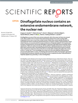 Dinoflagellate Nucleus Contains an Extensive Endomembrane Network, the Nuclear Net