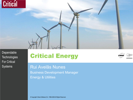 Critical Energy for Critical Systems Rui Avelãs Nunes Business Development Manager Energy & Utilities