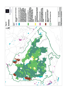 New Forest Wetland Management Plan 2006