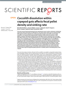 Coccolith Dissolution Within Copepod Guts Affects Fecal Pellet Density And