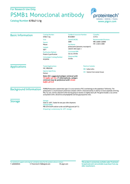 PSMB1 Monoclonal Antibody