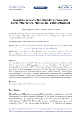 Taxonomic Review of the Mantidfly Genus Nolima Navás (Neuroptera, Mantispidae, Calomantispinae)