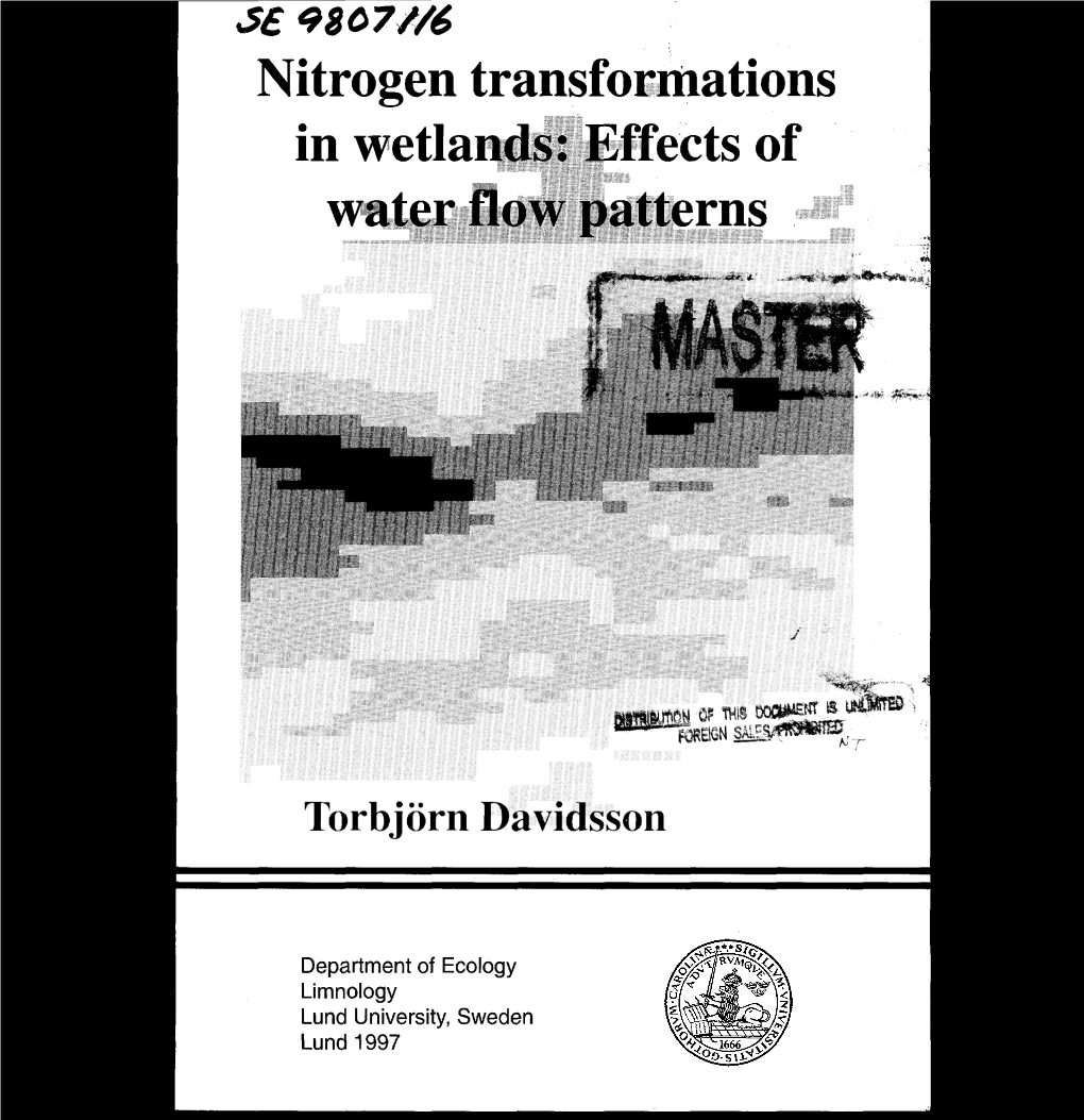 Nitrogen Transformations in Wetlands: Effects of Water Flow Patterns