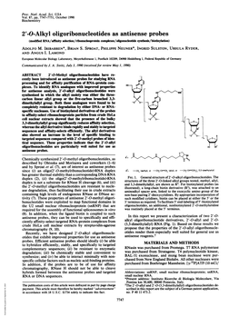 O-Alkyl Oligoribonucleotides As Antisense Probes (Modified RNA/Afnity Selection/Ribonudeoprotein Couiplexes/Oligonucleotide Synthesis/Biotinylation) ADOLFO M