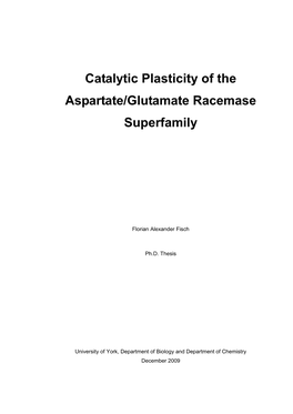 Catalytic Plasticity of the Aspartate/Glutamate Racemase Superfamily