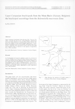 The Brachiopod Assemblage from the Belemnitella Mucronata Zone