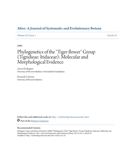 Phylogenetics of the "Tiger-Flower"