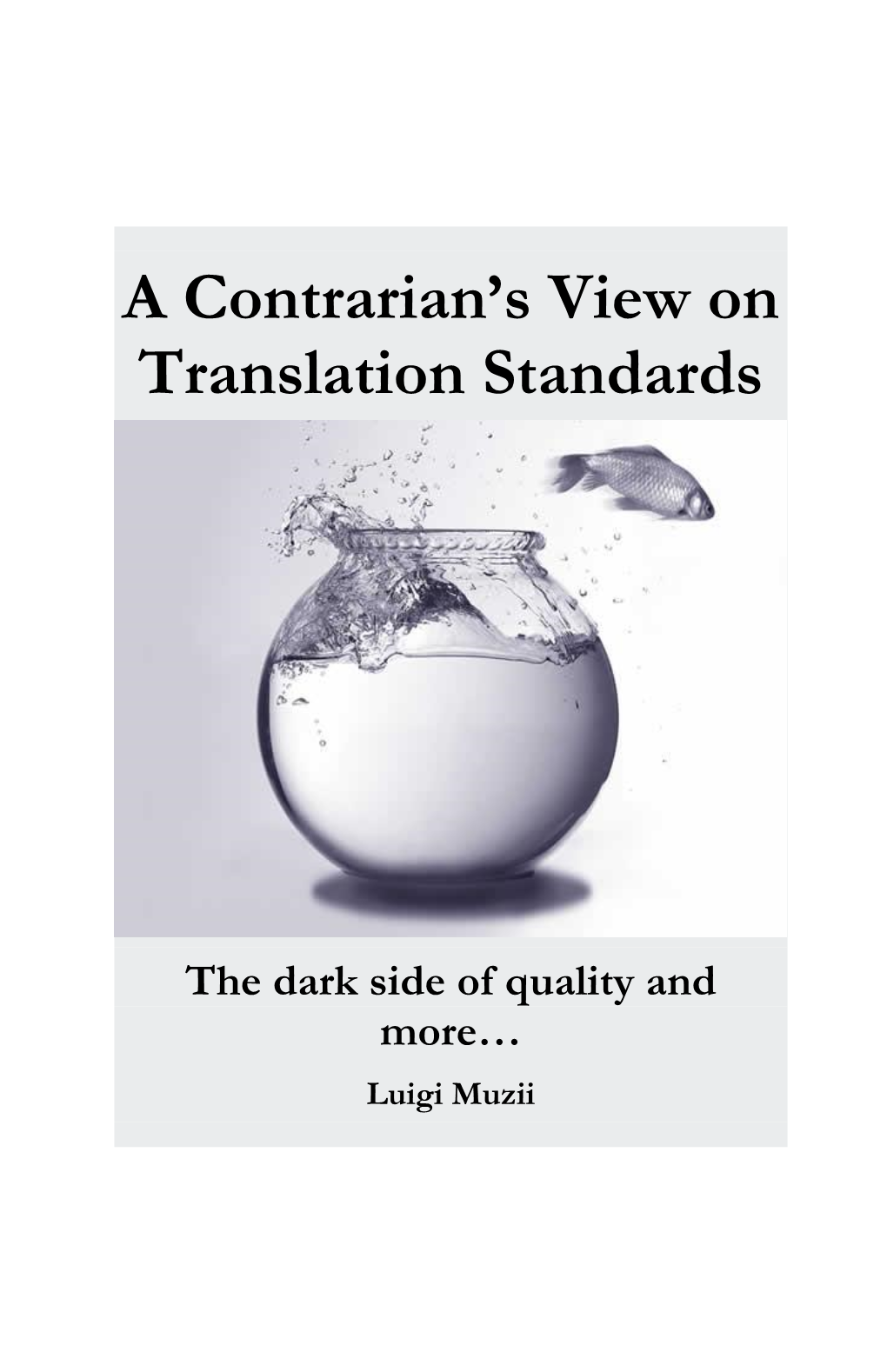 A Contrarian's View on Translation Standards