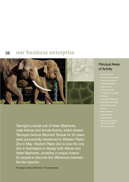 Our Business Enterprise