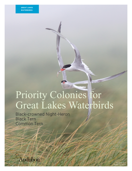 Priority Colonies for Great Lakes Waterbirds