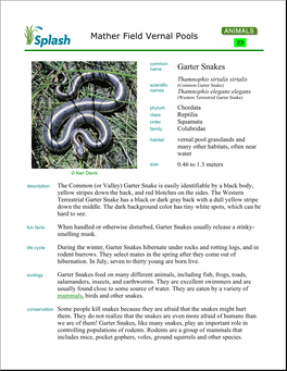 Mather Field Vernal Pools Garter Snakes