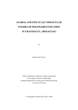 Global and Fine Scale Molecular Studies of Polyploid Evolution