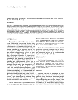 INNER PLATFORM SEDIMENTS with Praebullalveolina Afyonica SIREL and ACAR AROUND ELAZIĞ REGION (E