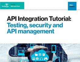 API Integration Tutorial: Testing, Security and API Management