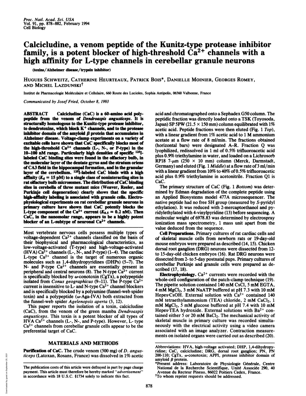 Family, Is a Potent Blocker of High-Threshold Ca2+ Channels with A