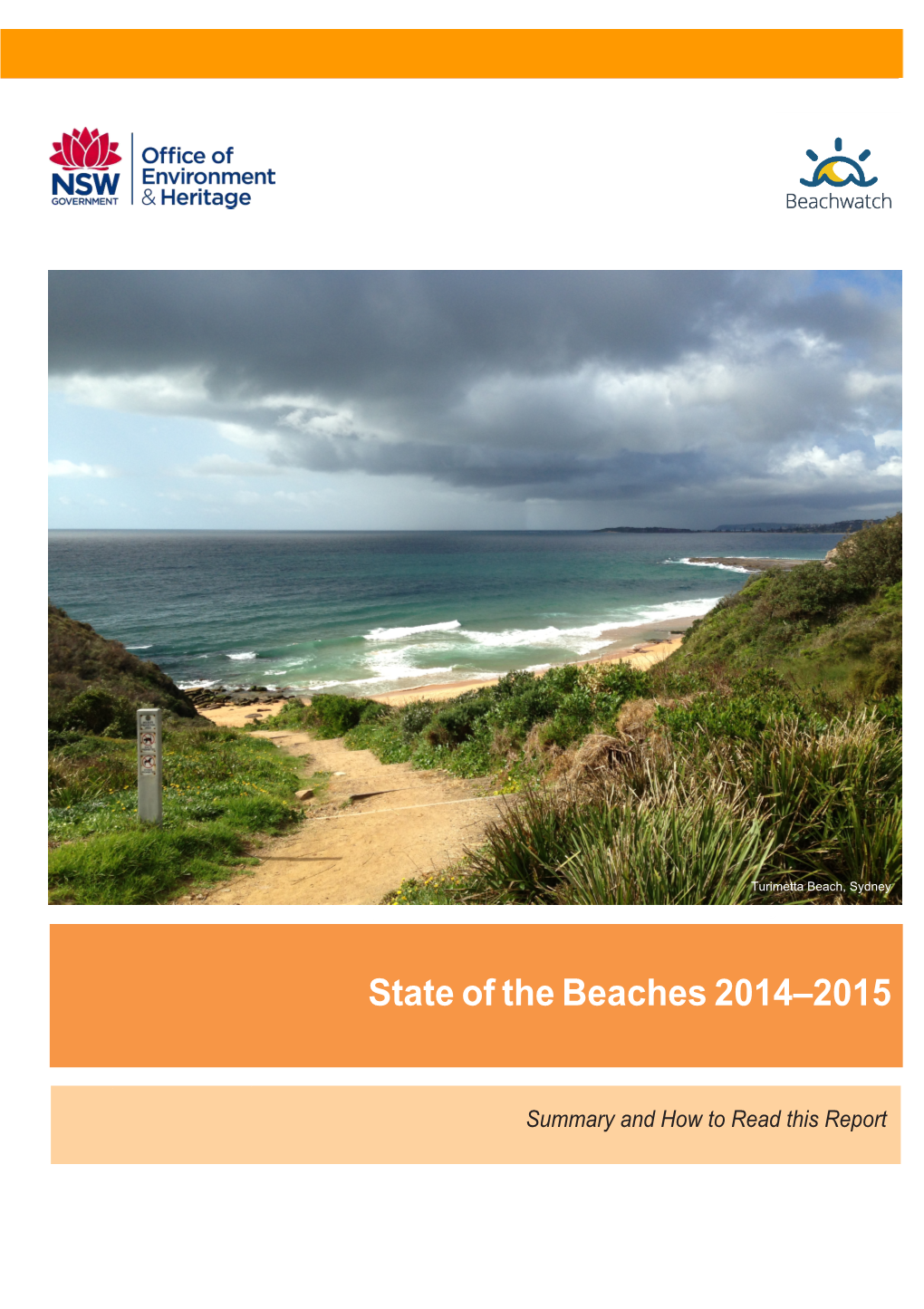 Beachwatch State of the Beaches Report