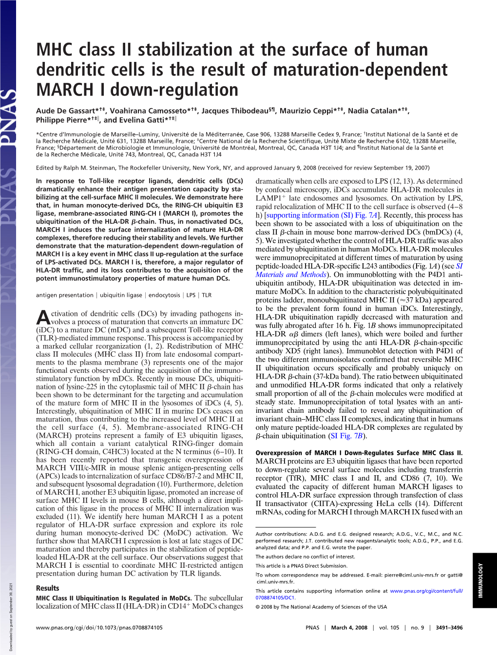 MHC Class II Stabilization at the Surface of Human Dendritic Cells Is the Result of Maturation-Dependent MARCH I Down-Regulation