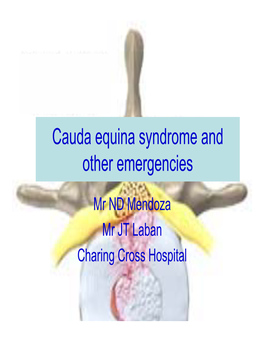 Cauda Equina Syndrome and Other Emergencies