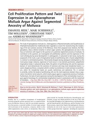 Cell Proliferation Pattern and Twist Expression in an Aplacophoran
