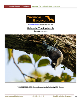 Malaysia: the Peninsula, June 22-29 2019