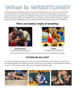 There Are Mainly 2 Styles of Wrestling: So How Do You Win?