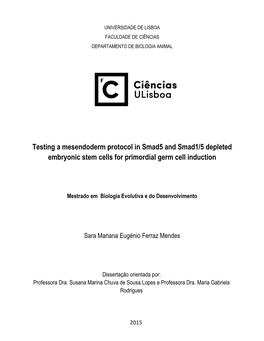 Testing a Mesendoderm Protocol in Smad5 and Smad1/5 Depleted Embryonic Stem Cells for Primordial Germ Cell Induction