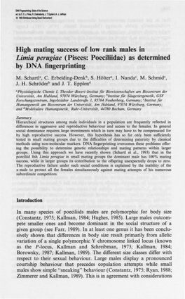 High Mating Success of Low Rank Males in Limia Perugiae (Pisces: Poeciliidae) As Determined by DNA Fingerprinting