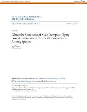 Flying Foxes): Preliminary Chemical Comparisons Among Species Jamie Wagner SIT Study Abroad