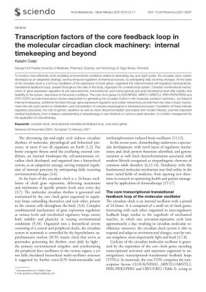 Transcription Factors of the Core Feedback Loop in the Molecular Circadian Clock Machinery: Internal Timekeeping and Beyond Katalin Csép*