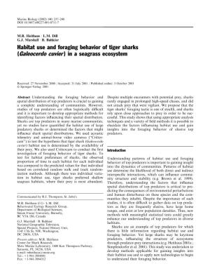Habitat Use and Foraging Behavior of Tiger Sharks (Galeocerdo Cuvier)