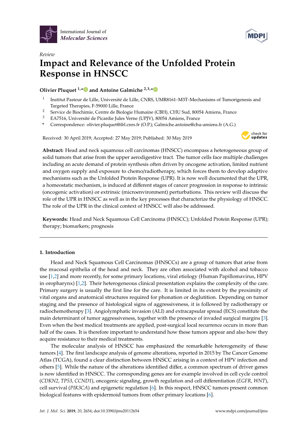 Impact and Relevance of the Unfolded Protein Response in HNSCC