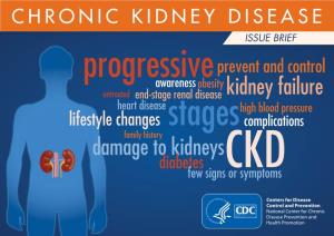 Chronic Kidney Disease (Ckd)