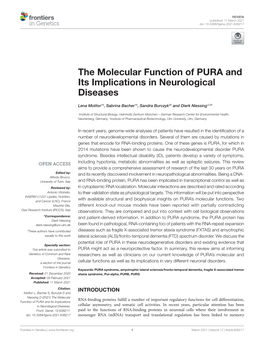 The Molecular Function of PURA and Its Implications in Neurological Diseases