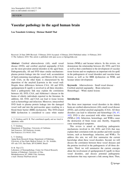 Vascular Pathology in the Aged Human Brain