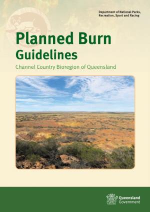 Channel Country Planned Burn Guideline