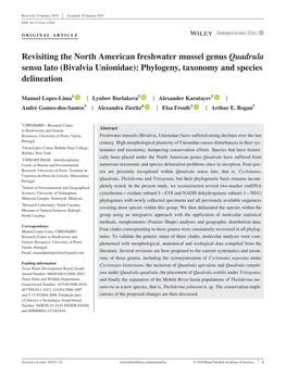 Revisiting the North American Freshwater Mussel Genus Quadrula Sensu Lato (Bivalvia Unionidae): Phylogeny, Taxonomy and Species Delineation