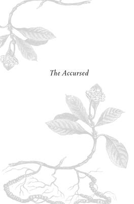 The Accursed