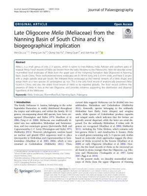 Late Oligocene Melia