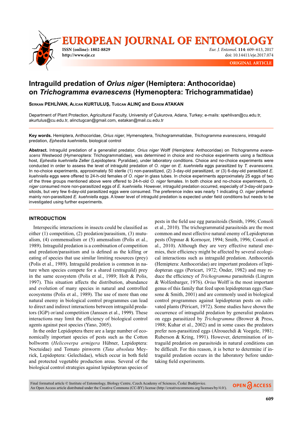 Intraguild Predation of Orius Niger (Hemiptera: Anthocoridae) on Trichogramma Evanescens (Hymenoptera: Trichogrammatidae)