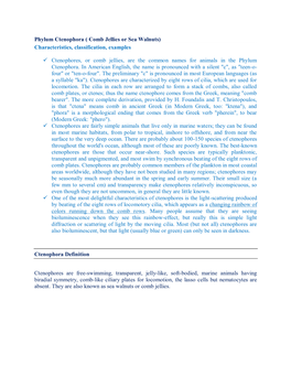 Phylum Ctenophora ( Comb Jellies Or Sea Walnuts) Characteristics, Classification, Examples
