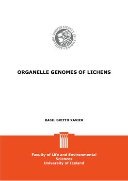 Organelle Genomes of Lichens