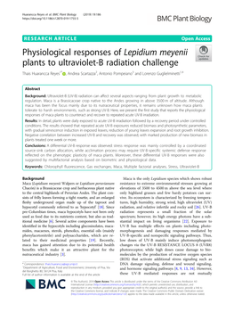 Physiological Responses of Lepidium Meyenii Plants to Ultraviolet-B