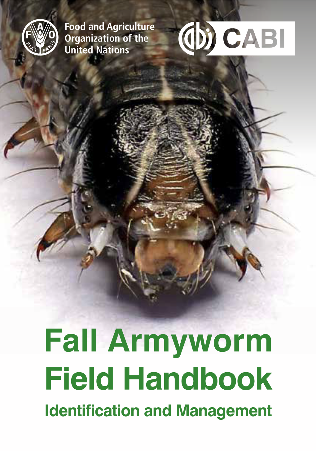 Fall Armyworm Field Handbook Identification and Management FAO and CABI (2019) Fall Armyworm Field Handbook: Identification and Management, First Edition