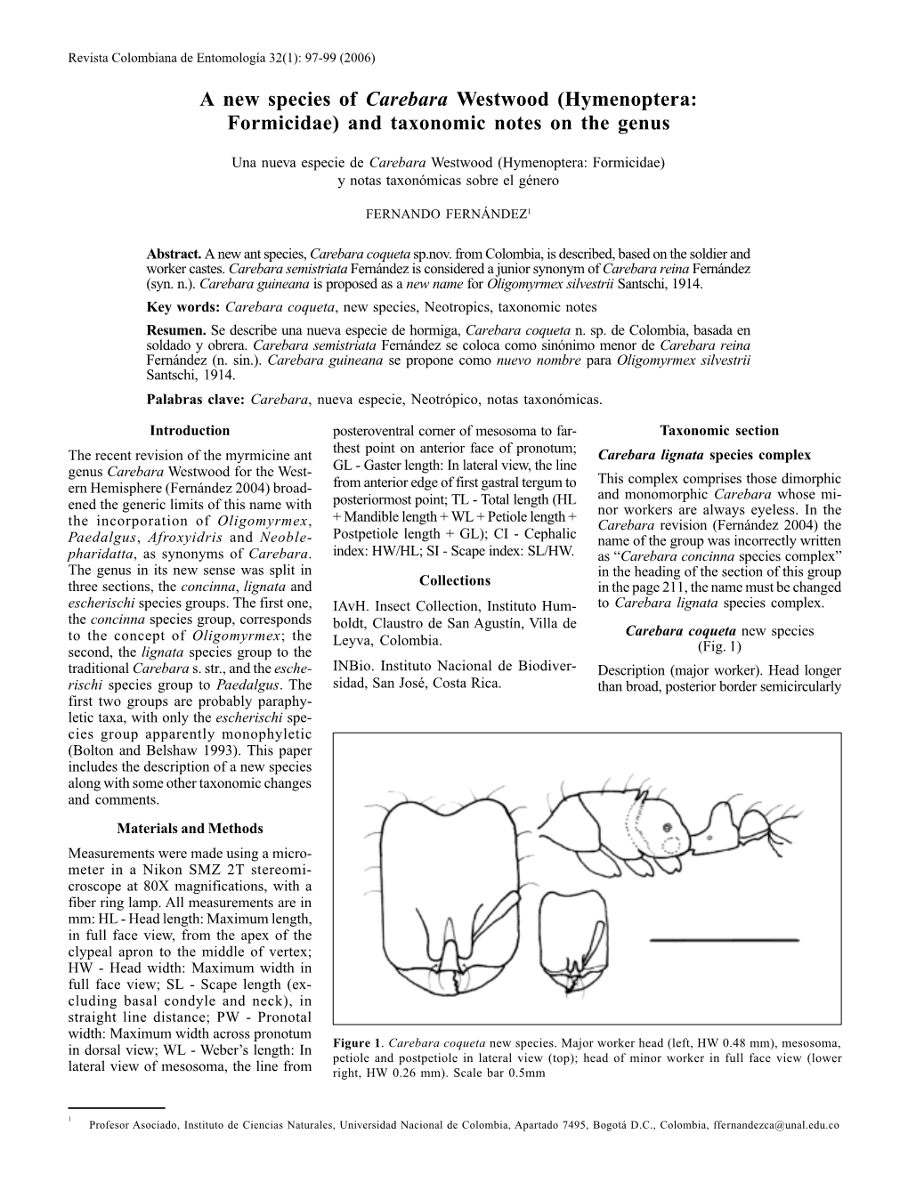 A New Species of Carebara Westwood (Hymenoptera: Formicidae) and Taxonomic Notes on the Genus