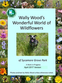 Sycamore Grove Park Wildflower Guide