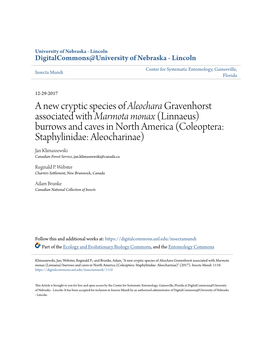 A New Cryptic Species of &lt;I&gt;Aleochara&lt;/I&gt; Gravenhorst