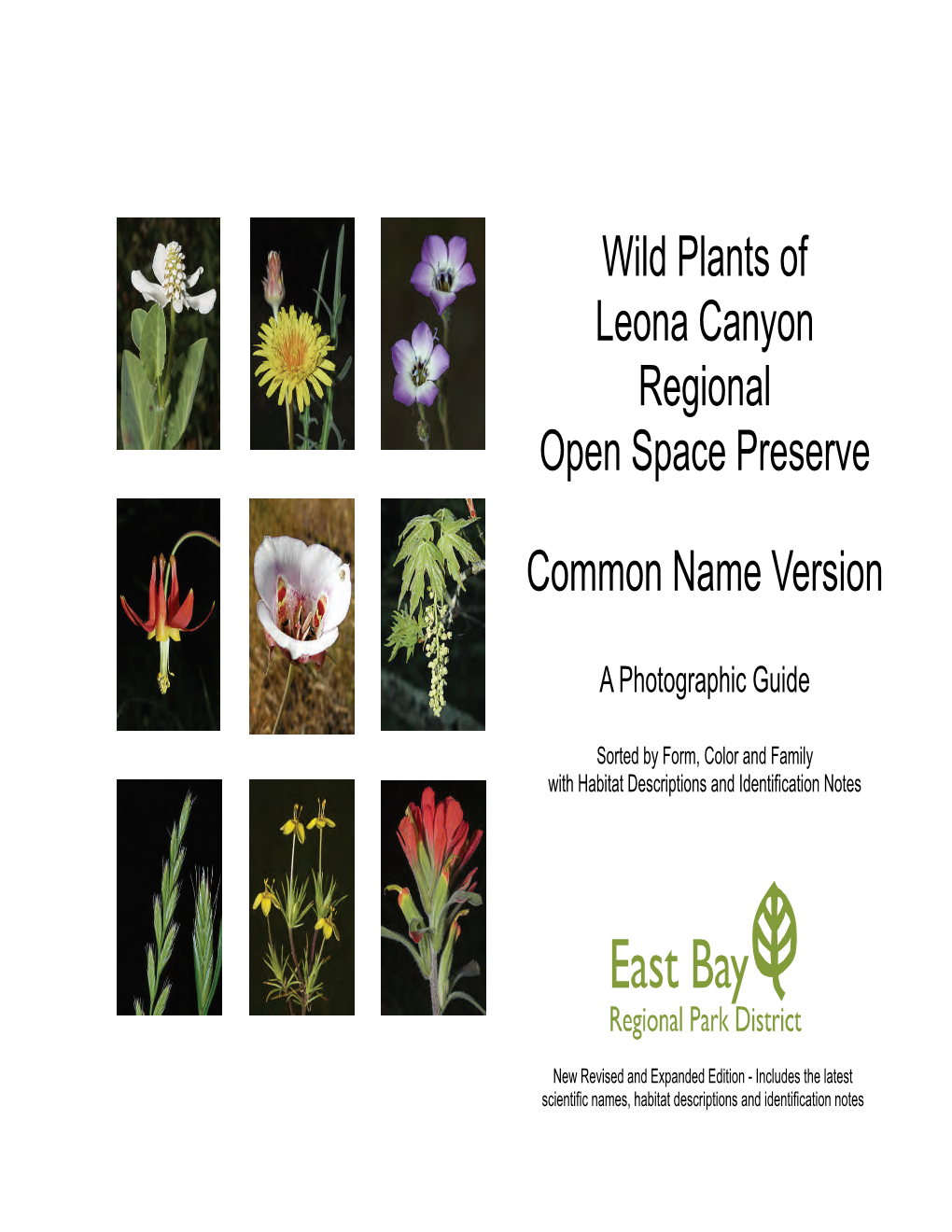 Wild Plants of Leona Canyon Regional Open Space Preserve