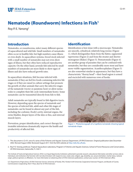 Nematode (Roundworm) Infections in Fish1 Roy P