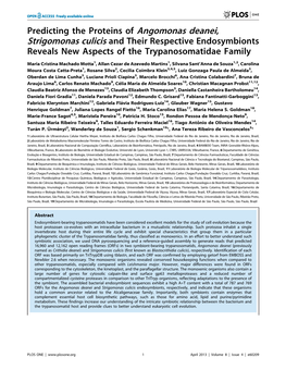 Predicting the Proteins of Angomonas Deanei, Strigomonas Culicis and Their Respective Endosymbionts Reveals New Aspects of the Trypanosomatidae Family